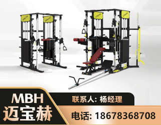 海东多功能综合训练器
