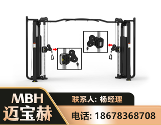海东大飞鸟训练器