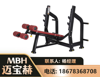 海东豪华下斜卧推架